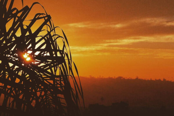 sunset1