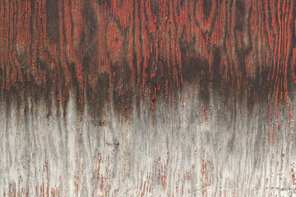 texture1