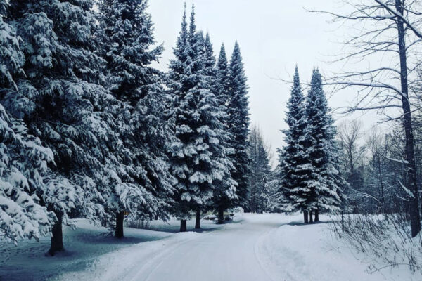 winter1